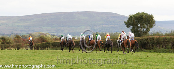 01 The Last Derby & R James - Winner (2, tangerine, green chevrons) - FT8E8418-19