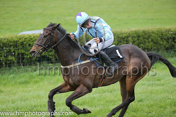 01st BALLYLUMFORD and B G Crawford ( 1 , LIGHT BLUE,navy seams; light blue sleeves; light blue cap,purple star ) Trainer: S.R.B. Crawford,, Owner : S.R.B. Crawford