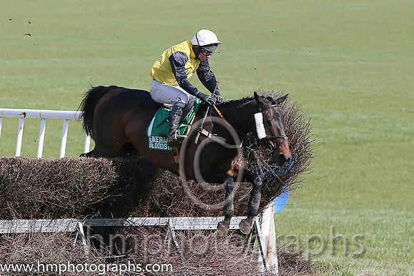 CASTLE GOER and N McParlan ( 1 , YELLOW; black, plain sleeves; white cap ) Trainer: Ben Arthey,, Owner : Houston N.  A.