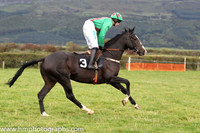 01 Chosen Dream & S Clements - winner (3, emerald green, red braces) - FT8E8323-28