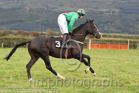 01 Chosen Dream & S Clements - winner (3, emerald green, red braces) - FT8E8323-28