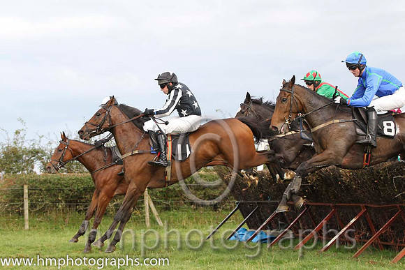 06 Steady Progress & S G Carey - 6th (11, black, white stars) - FT8E8351-61