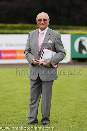 Official at Down Royal