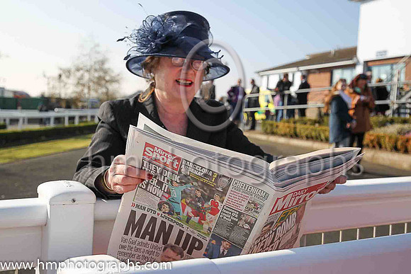 Journalist Jane Hardy at Down Royal
