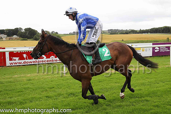 02nd Mr Antolini and M A Enright ( 2 , royal blue, white epaulettes ) Trainer - G J Power