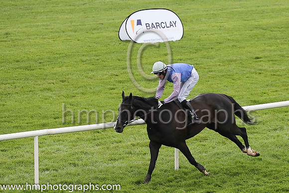 01st Fighting Days (13, royal blue, white sleeves ) and Shane Shortall, Trainer F Flood, Owner Kevin Cunningham and T Owens