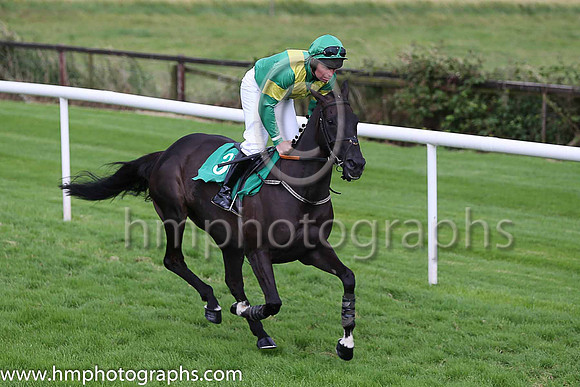 09th Western Goose and B M Cash ( 3 , emerald green, yellow chevron ) Trainer - K H Clarke