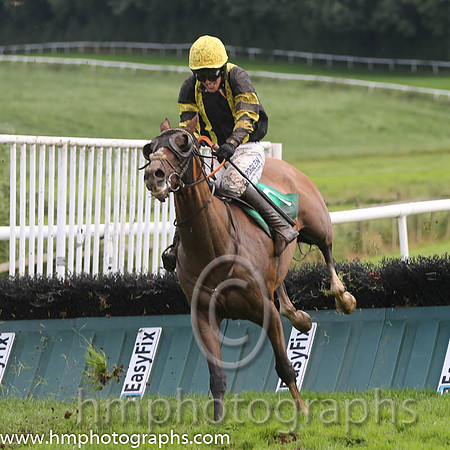 08 Josam & B Hayes - 8th (7, yellow. black panel) - AA1V0942