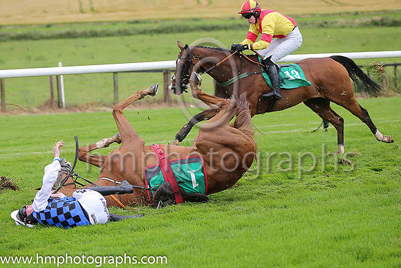 Fell Galveston and J W Kennedy ( 1 , royal blue and black check ) Trainer - G Elliott