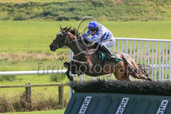 Ask The Leader ridden by Darragh O'Keeffe jump the last to win the Kingdom Healthcare Handicap Hurdle at Downpatrick Racecourse Ladies Day Meetin on Monday. Ask The Leader is trained by David Christie