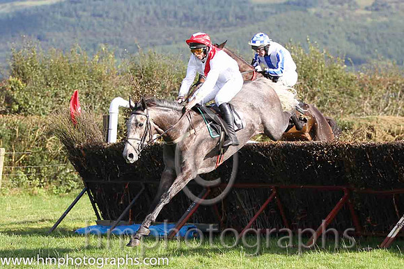 01 The Grey Taylor & J J Codd - winner (14, white, red sash) - FT8E8127-75