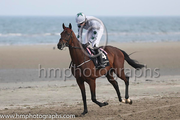 2 smoker and Mr S Clements - - 2nd (4 ,grey, dark green spotson sleeves ) Trainer - P J Prendergast