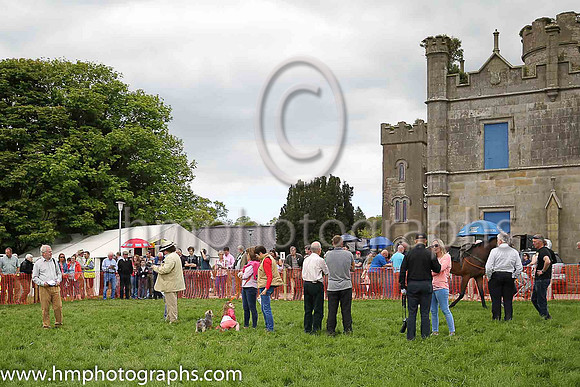 The Fermanagh Harriers Hunt Club P2P at Necarne