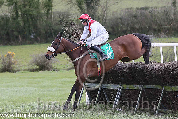 ISKABEG LANE and J J Codd ( 2 , WHITE,red sash; white, plain sleeves; red cap,white diamond ) Trainer: Denis Paul Murphy,, Owner : Thomas O'Sullivan