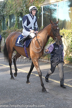 01 Fiesolana and W J Lee - - 01st (1 ,dark Blue, light blue cross sashes ) Trainer - W McCreery