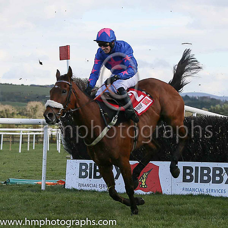 04th CUE CARD ( 2 , royal blue, pink star ) and Paddy Brennan - Trainer : Colin Tizzard