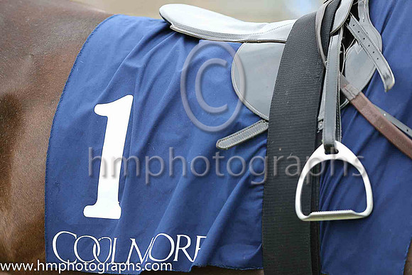 Coolmore Stud sponsors of the Ulster Oaks Fillies Handicap at Down Royal