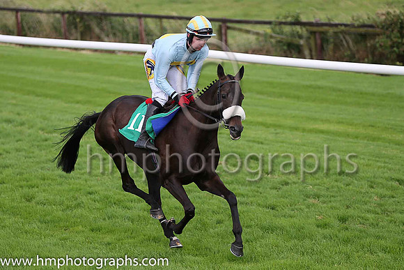 01st Tb Broke Her and D Meyler ( 11 , light blue, yellow hoop ) Trainer - A L T Moore