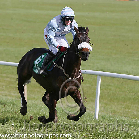 02nd MINMORE OSCAR and R James ( 6 , BLUE,white cross belts; blue sleeves; blue  white hooped cap ) Trainer: William P. Murphy,, Owner : William P. Murphy
