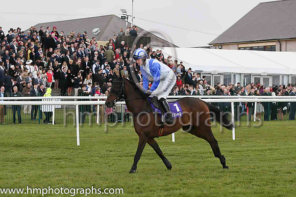 04th Fethard Player ( 1 , white, royal blue chevron ) and David Mullins - Trainer : W F Treacy