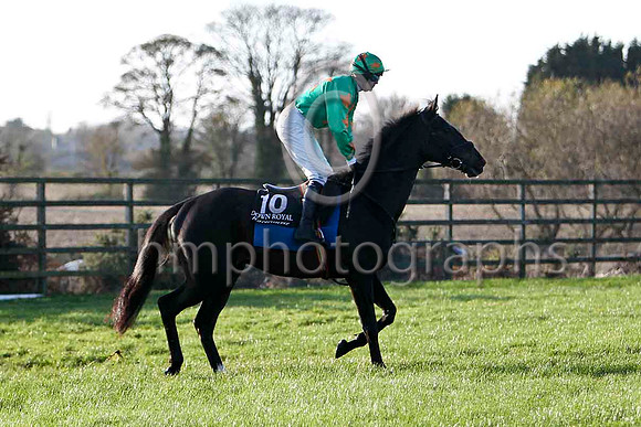 Baily Dusk , 9th - Jockey M J Ferris - FT8E6586-e