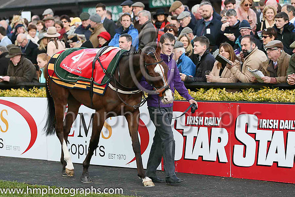 05th Sempre Medici ( 4 , pink, light green spots, green cap ) and Paul Townend - Trainer : W P Mullins