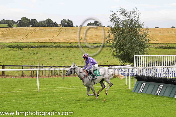 08th Erlkonig and G N Fox ( 1 , purple ) Trainer - A Mullins