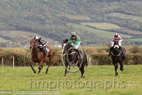 01 Chosen Dream & S Clements - winner (3, emerald green, red braces) - FT8E8366-73