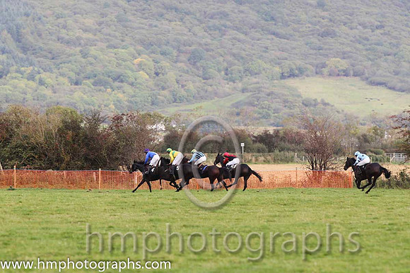 01 Mothers Tree & JJ Codd - winner (5, canary yellow, green hoop) - FT8E8605-46