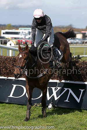 07th Shake The Bucket ( 7 , black, pink hollow box ) and N P Madden - Trainer : N Madden - Owner : Ms Sarah Ann Madden