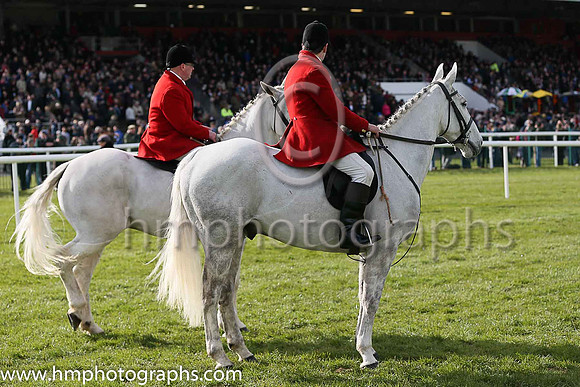 Punchestown