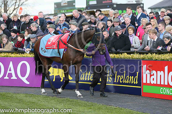 03rd My Tent Or Yours ( 3 , emerald green and orange hooped, white cap ) and Barry Geraghty - Trainer : Nicky Henderson