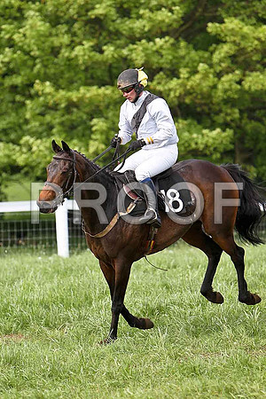 Fifth Race Div 1 - Cranfield Babe (18) PU, Rider J J Gault - CU2D9672-e