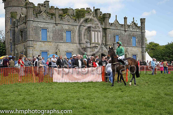 01st DROVERS LANE and J J Codd ( 16 , EMERALD GREEN,yellow epaulettes; emerald green sleeves; emerald green cap,yellow star ) Trainer: Denis Paul Murphy,, Owner : P.G. Coffey