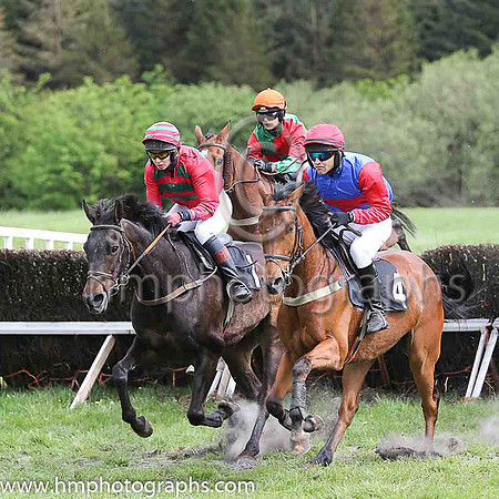 F AMERICAN IMAGE and N Gault ( 4 , ROYAL BLUE,red hoop; red sleeves; red cap ) Trainer: S. Michael Millar,, Owner : S. Michael Millar
