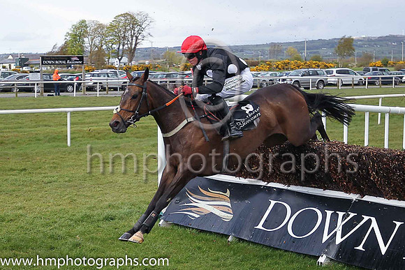 02nd Sue Oscar ( 8 , black, large white spots ) and K M Donoghue - Trainer : G P Cromwell - Owner : Miss Susan Barton