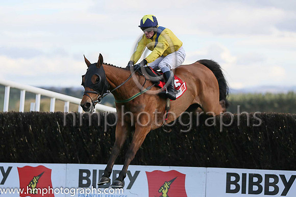 01st BLOW BY BLOW ( 5 , maroon, white stars white cap ) and Mr S G Carey - Trainer : W P Mullins