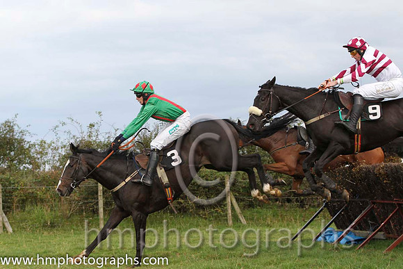 01 Chosen Dream & S Clements - winner (3, emerald green, red braces) - FT8E8373-78