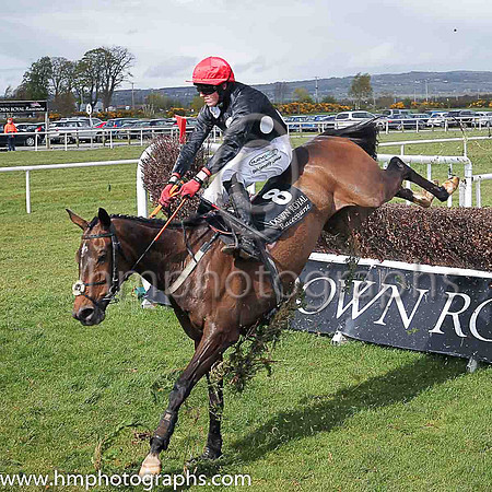 02nd Sue Oscar ( 8 , black, large white spots ) and K M Donoghue - Trainer : G P Cromwell - Owner : Miss Susan Barton