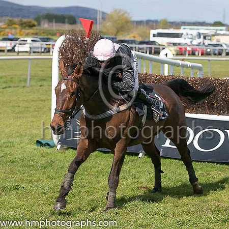 07th Shake The Bucket ( 7 , black, pink hollow box ) and N P Madden - Trainer : N Madden - Owner : Ms Sarah Ann Madden