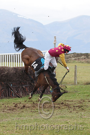 06 - She'll Tell Meda & J Cresswell - Fell (14, maroon, gold stars ) - FT8E0810-3