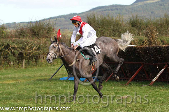 01 The Grey Taylor & J J Codd - winner (14, white, red sash) - FT8E8143-58