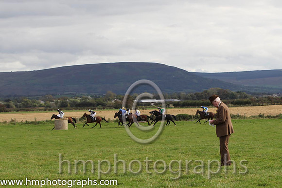 Picking a winner at the Route Point to Point steeplechases at Limavady - FT8E8330-46