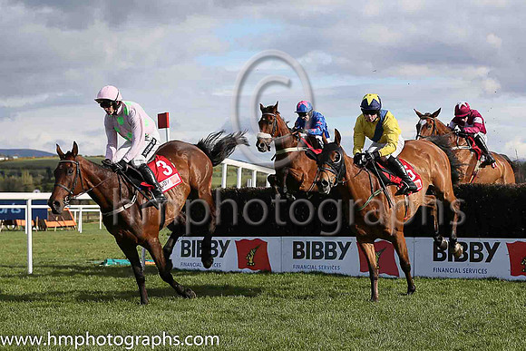 04th CUE CARD ( 2 , royal blue, pink star ) and Paddy Brennan - Trainer : Colin Tizzard