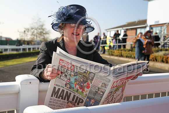 Journalist Jane Hardy at Down Royal
