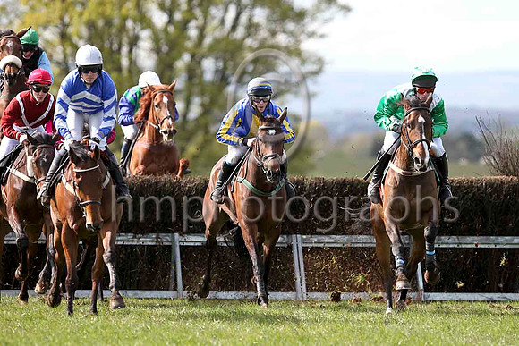 Little Luv (8 green white chevrons) & J J Codd - winner - IMG_9536-e