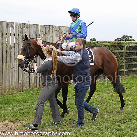 01st Stellar Mass and Kevin Manning, trainer J S Bolger win the Magners Ulster Derby of 100,000 Euro (Premier Handicap) at Down Royal