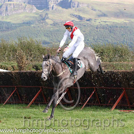 01 The Grey Taylor & J J Codd - winner (14, white, red sash) - FT8E8166-21