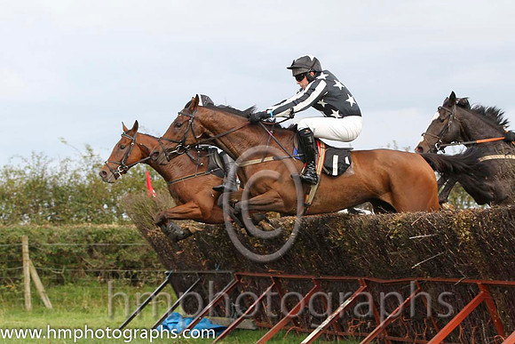 06 Steady Progress & S G Carey - 6th (11, black, white stars) - FT8E8350-60