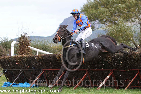 01 Jenny Make a Penny & B G Crawford - winner (3, blue and orange diamonds) - FT8E8266-58